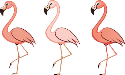 Obraz premium Pink Flamingo Vector Art - Tropical Bird Illustrations for Wildlife and Nature Design