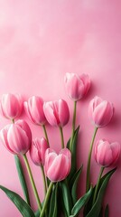 Fototapeta premium Delicate pink tulips arranged elegantly on a soft pink background, ideal for spring-themed greetings, Mother's Day, or floral sale promotions.