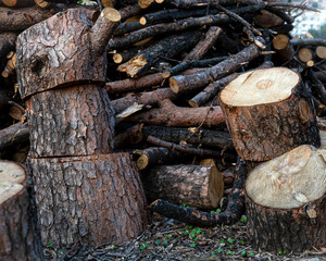 Firewood: natural and sustainable energy for home heat.