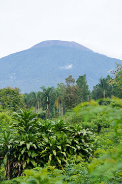 The beauty of Baturaden landscape in Banyumas Regency, Central Java, indonesia. It was taken on January 08, 2025 by a professional. It's a wonderful landscape with a nice view
