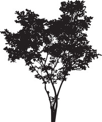 silhouette of a tree