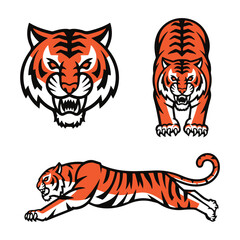 Bengal Tiger set suitable as logo for team mascot, royal tiger drawing sketch in full growth, Tiger Mascot Graphic, vector graphic to design