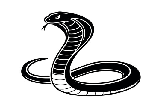 Snake Vector Art Illustration
