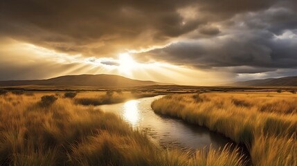 Obraz premium Golden Sunset Over Grasslands And Serene River