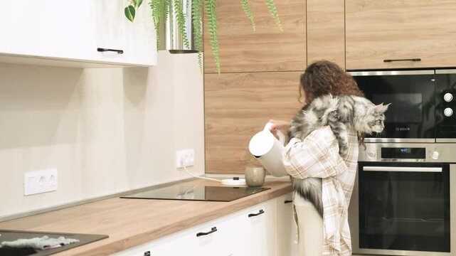 Beautiful woman with curly hair stands at home in the kitchen with a big gray cat in her hands. Fluffy Maine Coon in the hands of a woman.