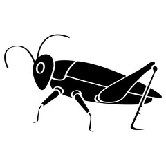  insect vector illustration design