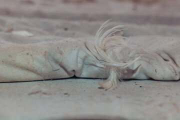 Dusty fabric corner with frayed edges revealing age and wear in an indoor environment