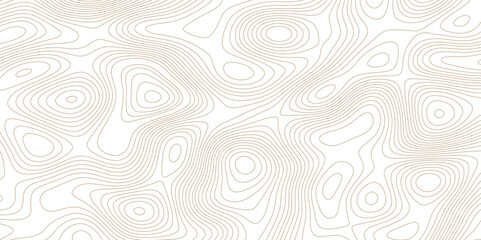 Abstract topographic map background. Topographic map lines contour background. 
