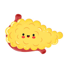 Pancreas character. Vector hand drawn cartoon kawaii character illustration icon. Isolated on white background. Pancreas character concept