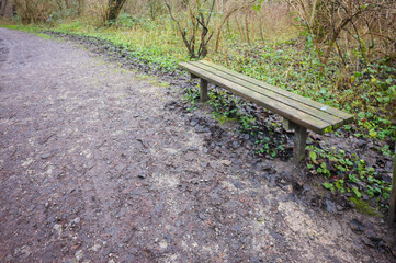 Empty bench inviting hikers to rest along muddy trail in lush forest