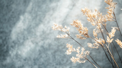 Dried grass against a textured background showcasing natural elegance and simplicity
