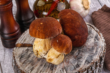 Raw natural wild porchini mushrooms