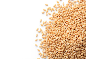 Top view of paddy rice and rice seed on the white background, Background and wallpaper by pile of paddy rice, Close-up of brown rice grain and rice pile