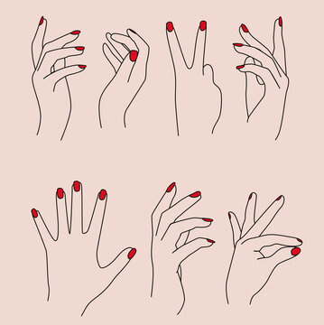 Collection of Different Female Hand Gestures with Red Nails. Vector Illustration Icon Set Doodles in Different Positions