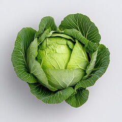Obraz premium Fresh Green Cabbage on Light Gray Background Perfect for Cooking