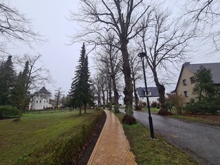 ein schöner Gehweg in Nienhagen, Mecklenburg - Vorpommern, Deutschland