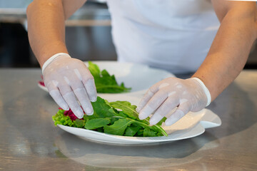 Male chef's hands with disposible gloves plating a salad with fresh arugula and lettuce on steel kitchen counter