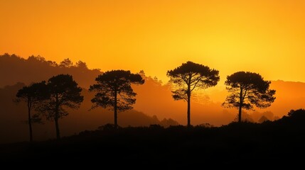 Obraz premium An artistic capture of moss-covered trees silhouetted against a golden sunset in Peneda-Ger National Park, Portugal, with vibrant autumn hues.