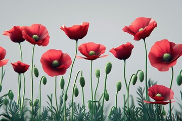 Fototapeta premium In-depth exploration of red poppy flowers and their young sprouts against a plain backdrop