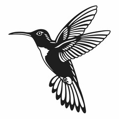hummingbird and flower