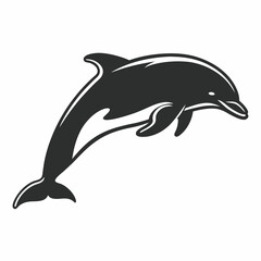 dolphin illustration