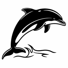 dolphin isolated on white