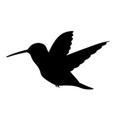 Obraz premium Hummingbird Silhouette Vector Illustration