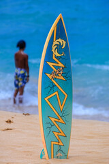Let's surf the hawaian waves