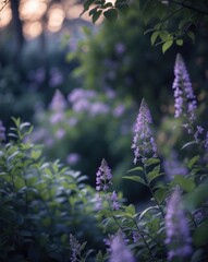 Obraz premium Tranquil Garden Scene at Dusk with Purple Flowers Surrounded by Lush Greenery and Soft Ambient Light Inviting Serenity and Peaceful Reflection