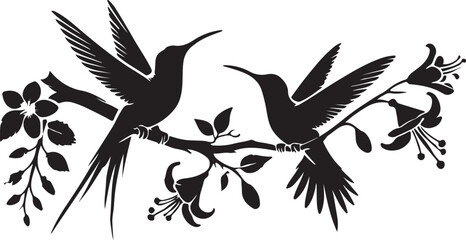 black and white dove