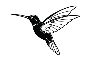 Fototapeta premium Line art of a hummingbird1.eps