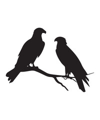 Black Bird of Prey Silhouettes Featuring Eagles and Falcons in Dynamic Poses