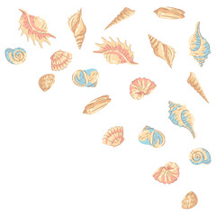 Background with seashells. Tropical underwater mollusk shells illustration.