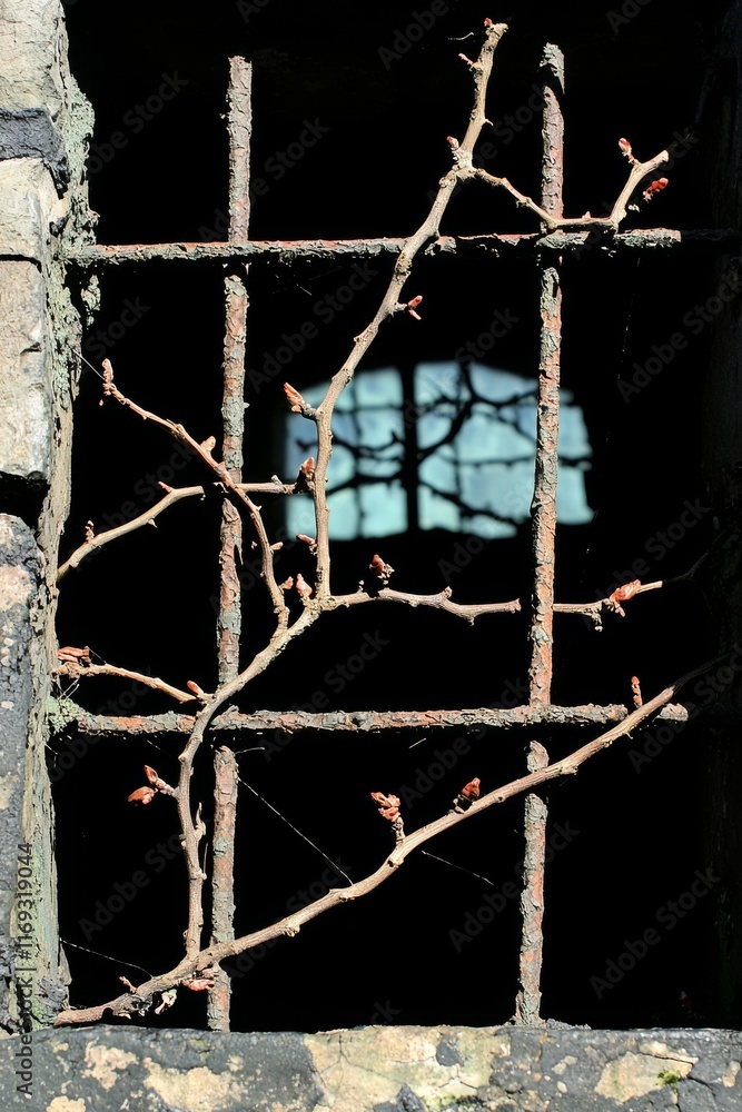 Poster rustic window with branches and buds