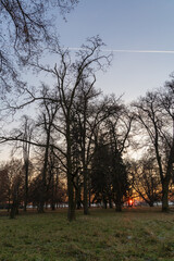 Fototapeta premium Winter park with deciduous trees at sunset. There is frost on the grass