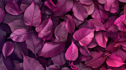 fuchsia seamless pattern wallpaper