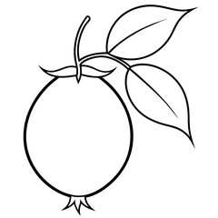 Coloring page line art Rosehip vector