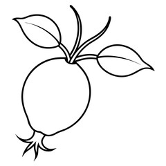 Coloring page line art Rosehip vector