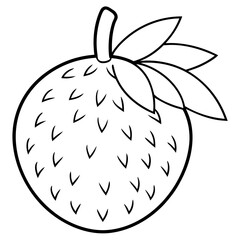 Coloring page line art breadfruit vector 