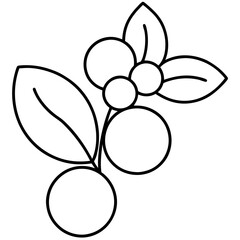 Coloring page line art Buffalo berry vector illustration