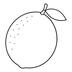 Coloring page line art desert lime vector 