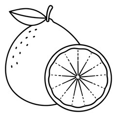 slice of lemon illustration 