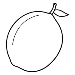Coloring page line art lucuma vector illustration