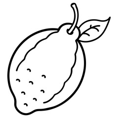 Coloring page line art miracle fruit vector