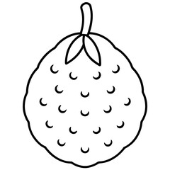 illustration of an fruit