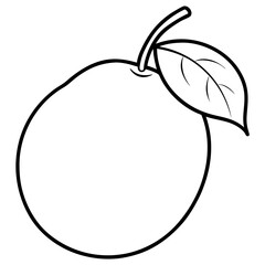 Coloring page line art sapodilla vector illustration