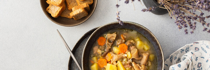 Oyster mushroom soup in plates, soup made from Pleurotus mushrooms and potatoes, carrots and spices, top view, copy space, banner