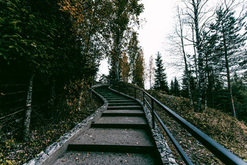 Concrete staircase city park, stair on green grass background summer afternoon