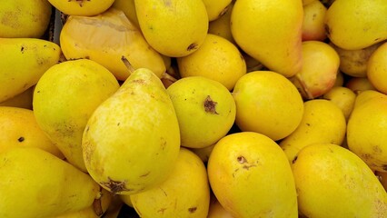 A close-up of ripe yellow pears with natural imperfections, showcasing their vibrant color and organic texture, ready for consumption.