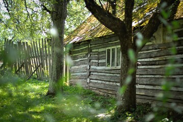 A rustic wooden cabin with a moss-covered roof, surrounded by trees and wild vegetation, creating a tranquil countryside scene.